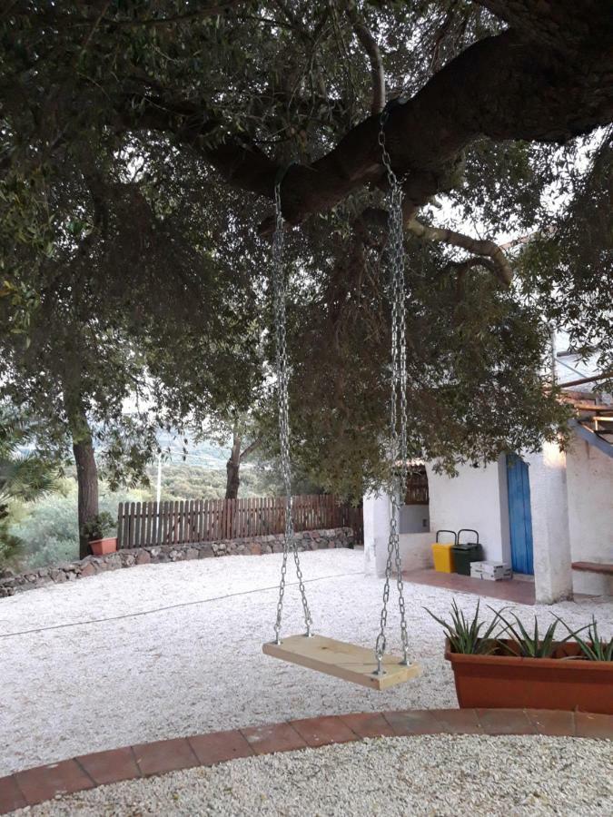 Ferienwohnung Casa Toloi Dorgali Exterior foto